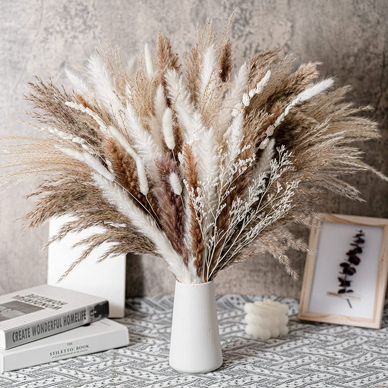 Dried Pampas Bundle - 50-105 peças de Arranjo Floral Seco