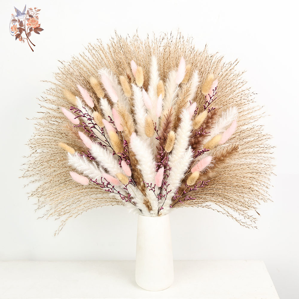 Fofo pampas coelho caudas gram - Dried Pampas Bundle avaliação e preço