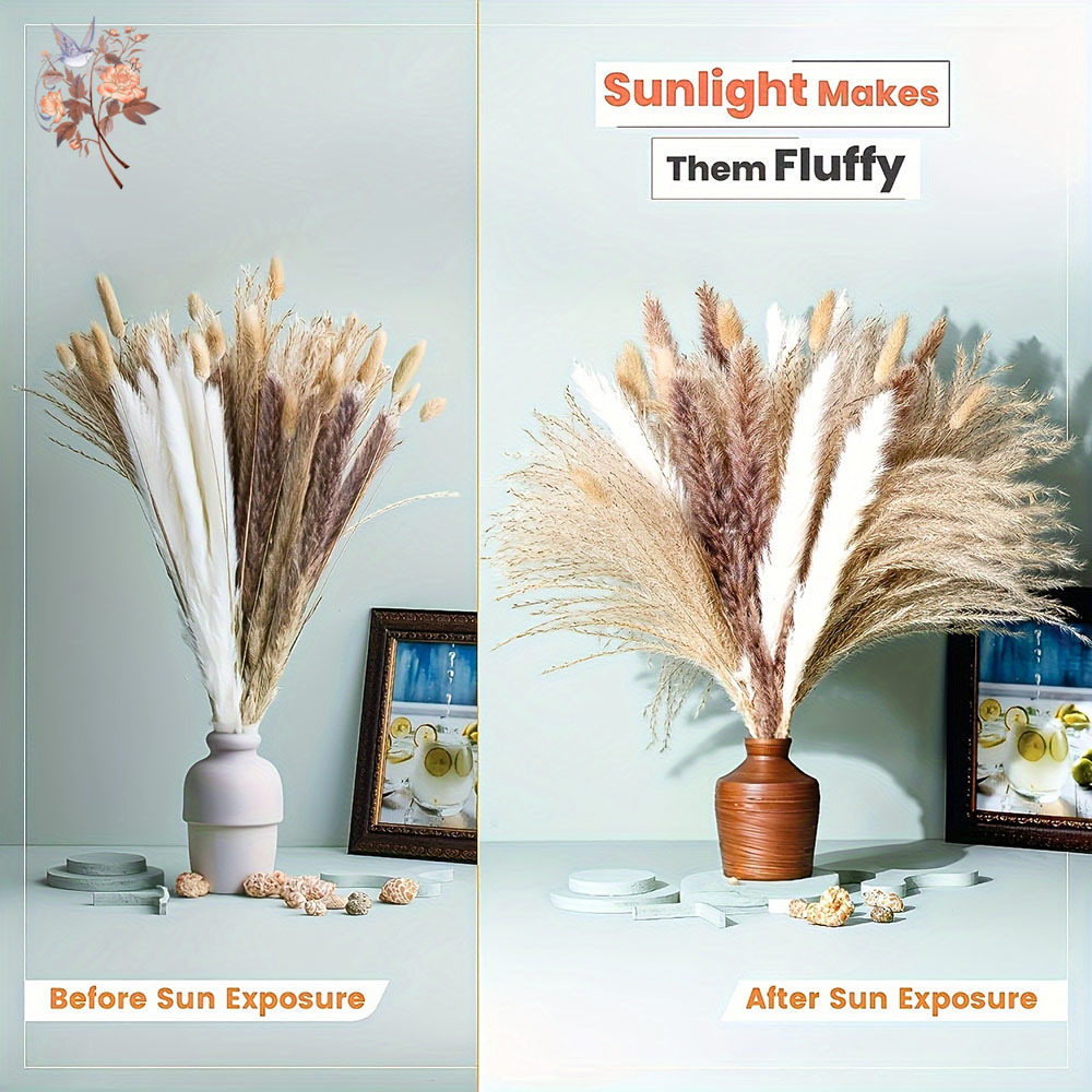 Buquê de Flores Naturais Secas - Dried Pampas Bundle avaliação e preço