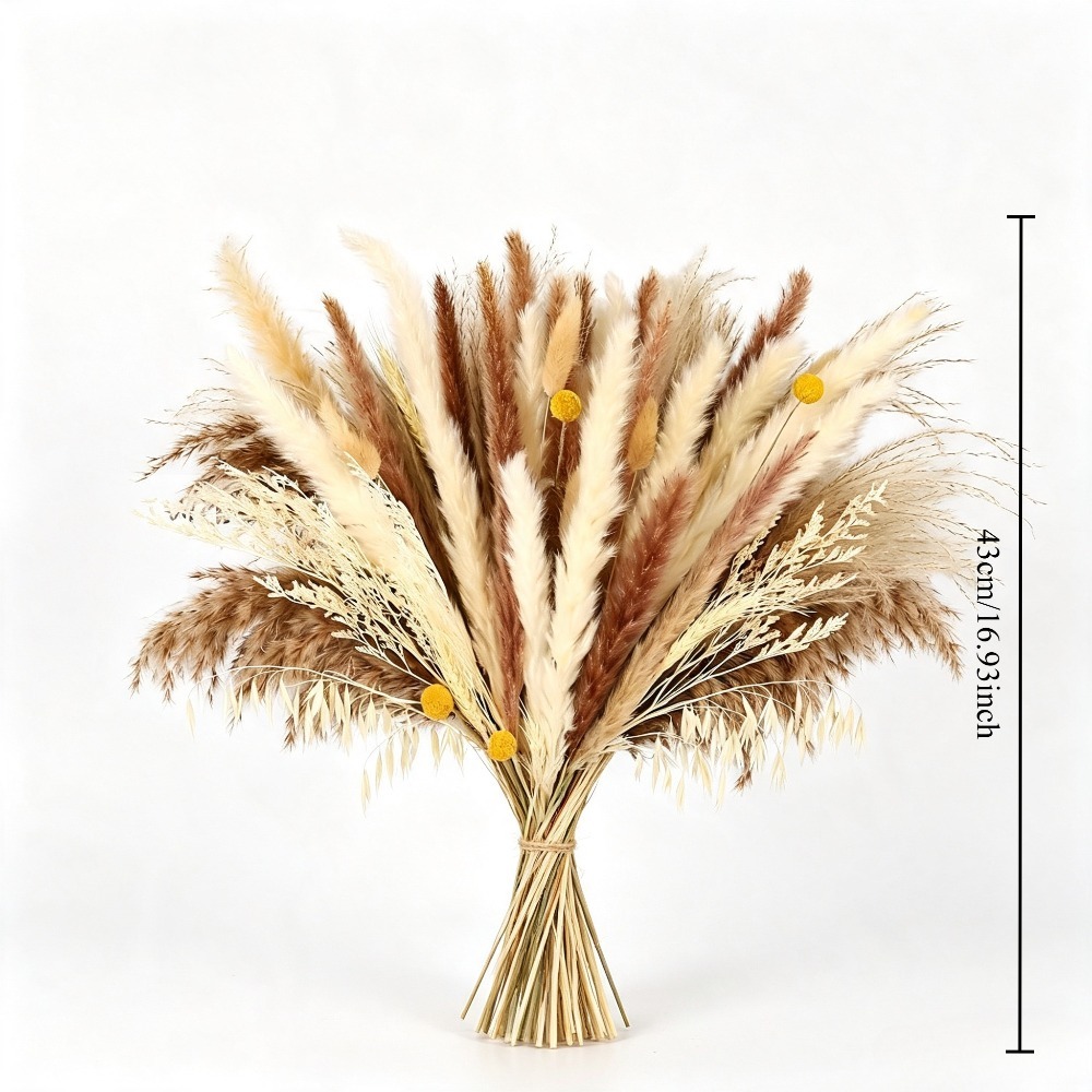 Buquê de Flores Secas Naturais - Dried Pampas Bundle avaliação e preço