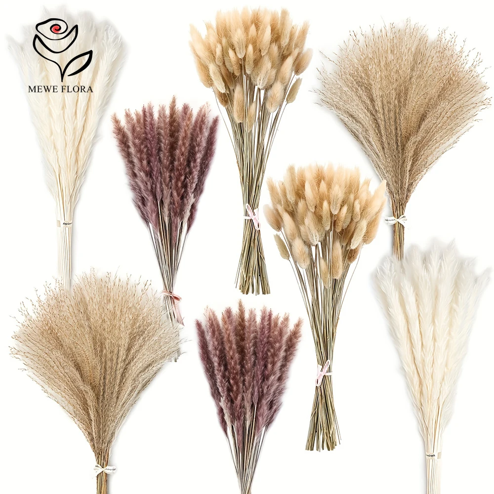Queas de coelho de pampas seca - Dried Pampas Bundle avaliação e preço